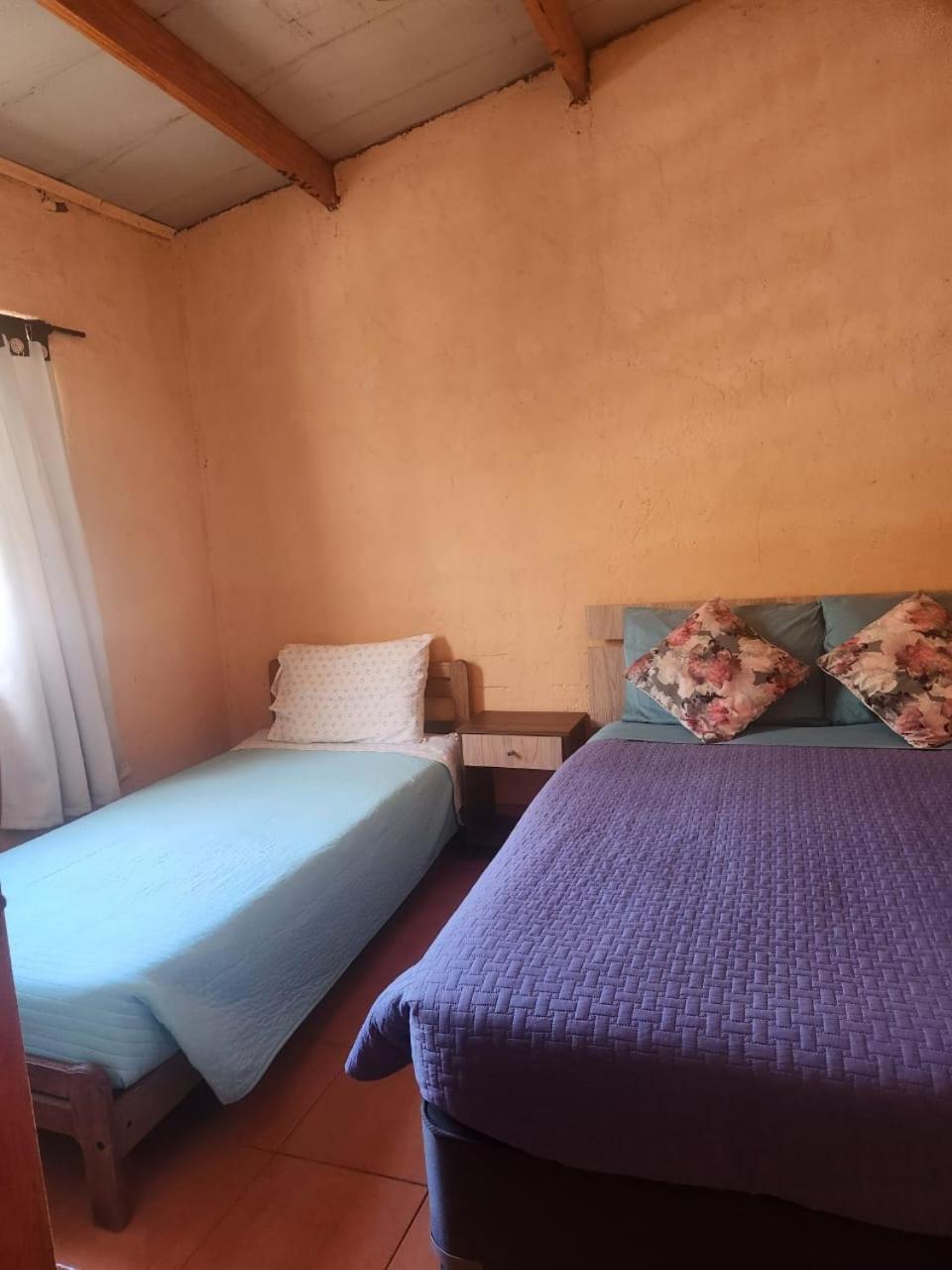 Hospedaje Rural Casa De Felix サン・ペドロ・デ・アタカマ エクステリア 写真